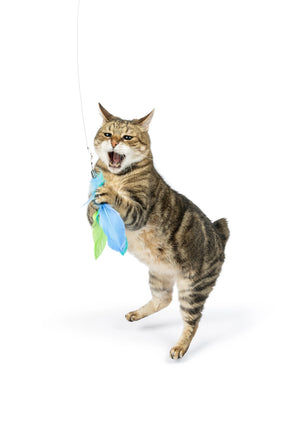 Huxley & Kent - Cat Toy Birdy Feather Teaser