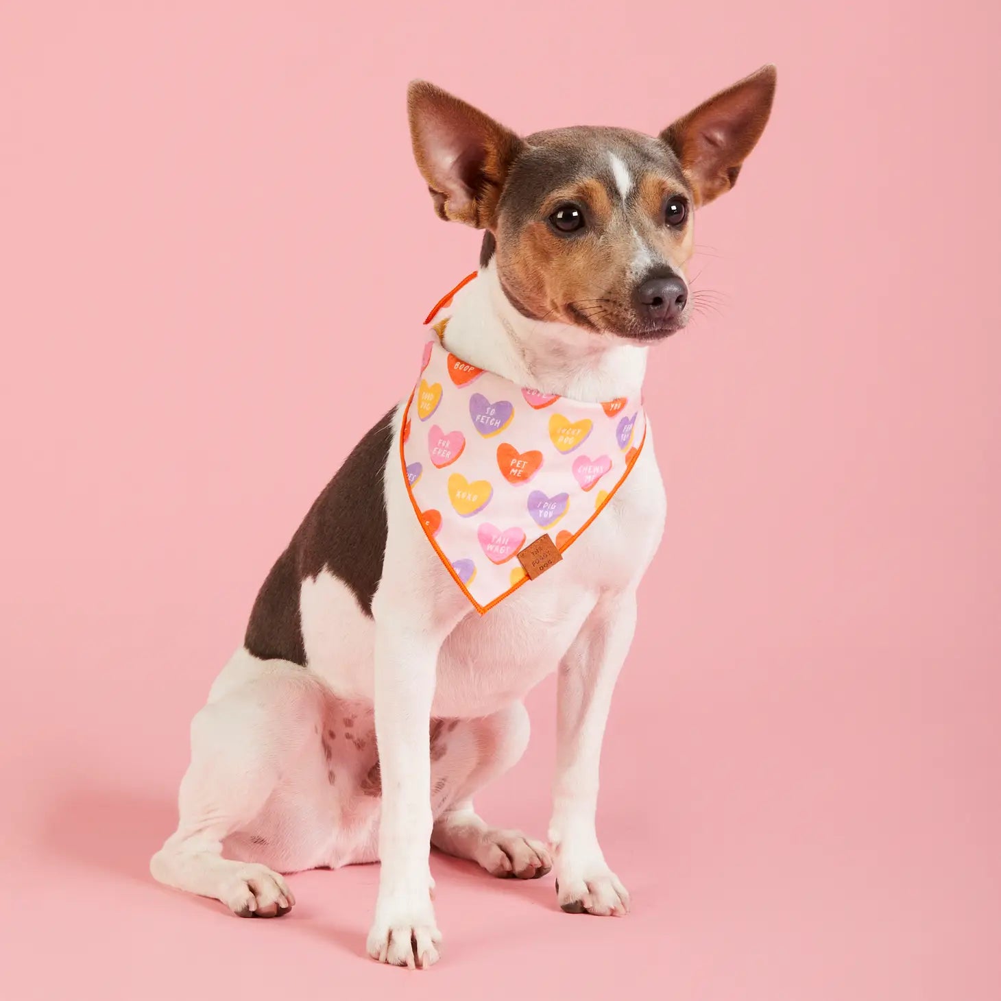 Foggy Dog - Bandana Dog Candy Hearts