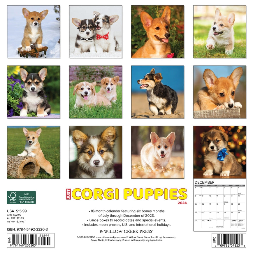 2024 Corgi Puppies Calendar