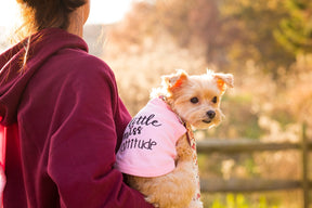 Dog T-Shirt Little Miss Attitude