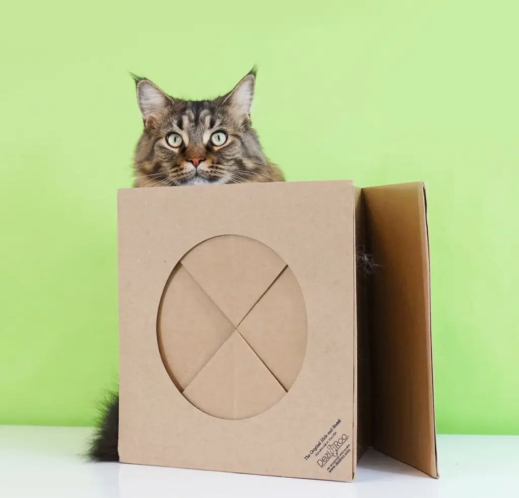 Cat Hide & Sneak Tunnel Paper