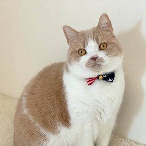 Cat Collar My Cat For President