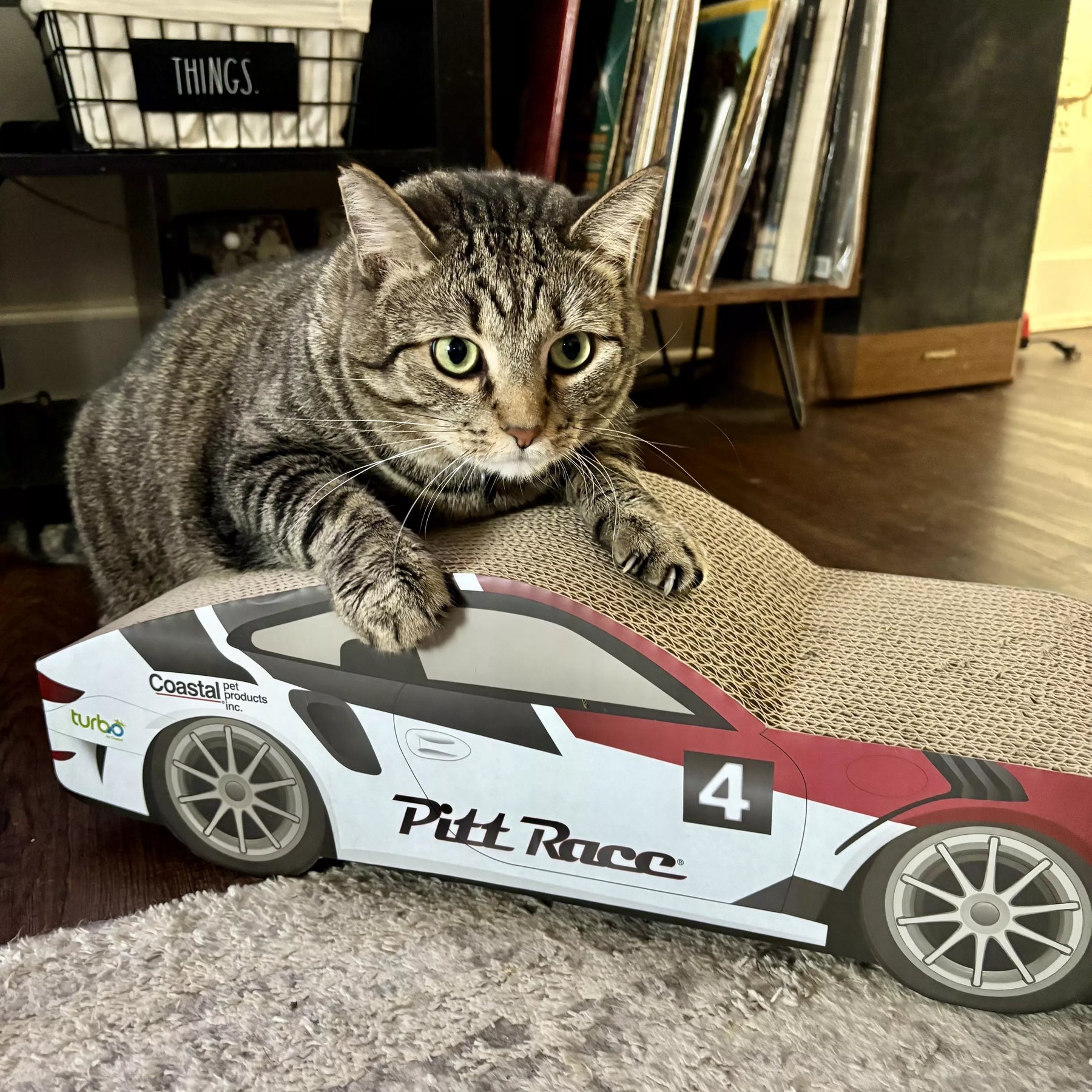 Coastal - Race Car Scratcher