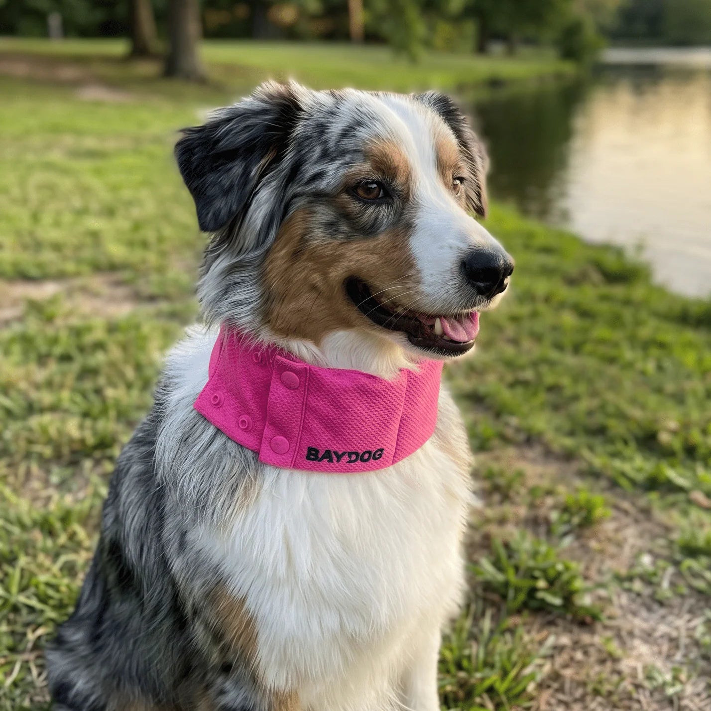 Baydog - Arctic Bay Cooling Collar