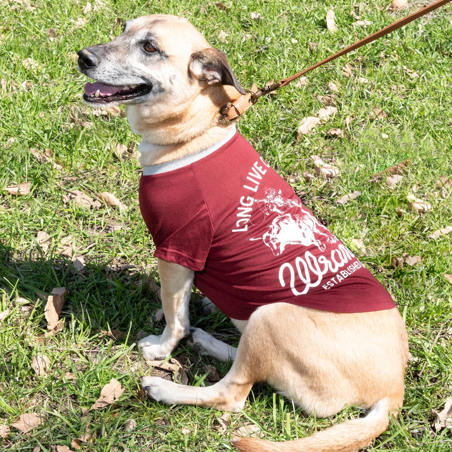 Lexington Pet w/ Wrangler - Dog Tee Long Live Cowboys Maroon