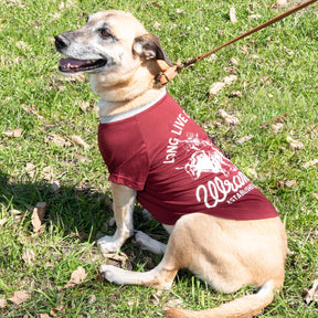 Lexington Pet w/ Wrangler - Dog Tee Long Live Cowboys Maroon