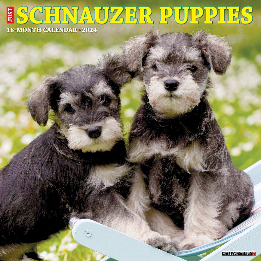 2024 Schnauzer Puppies Calendar