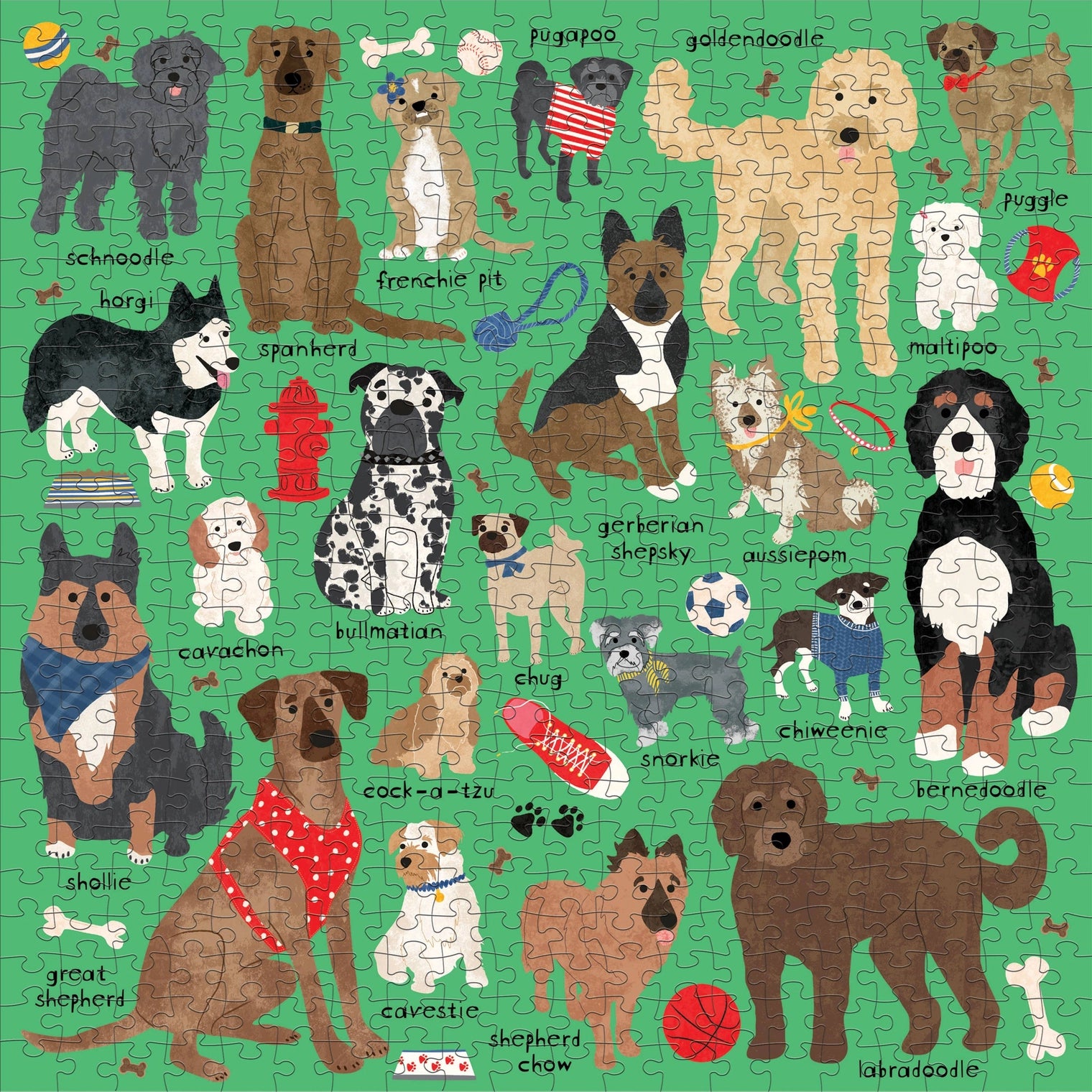 Puzzle Doodle Dog & Other Mixed Breeds