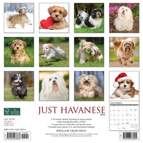 2024 Havanese Calendar