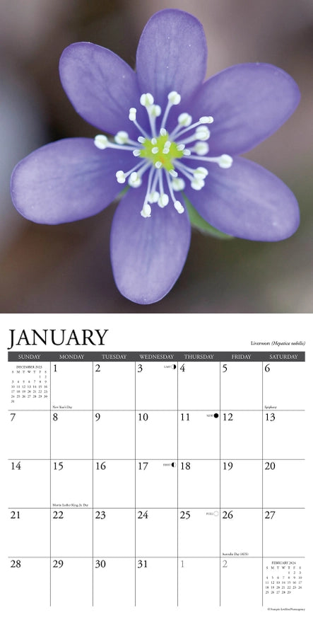 2024 Wildflowers Calendar