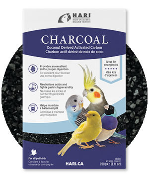 Hari - Charcoal Coconut-Derived Activated Carbon