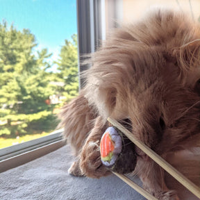 Huxley & Kent - Cat Toy Classic Sushi