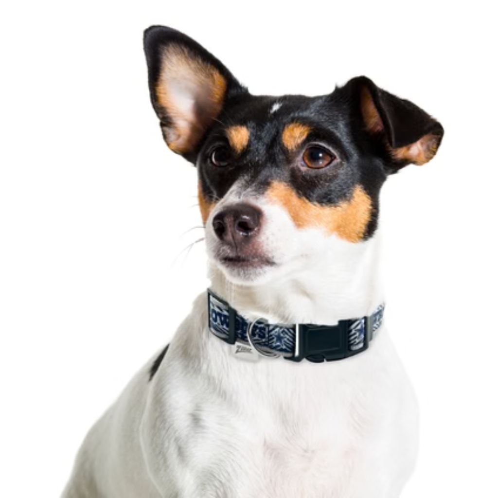 Pets First, Inc. - Dallas Cowboy Zubaz Collar