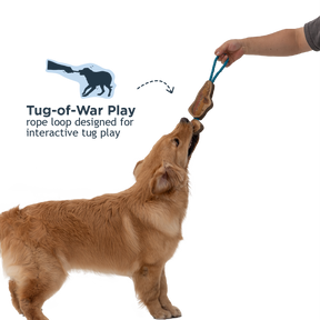Tall Tails - Color Jointed Trout Tug