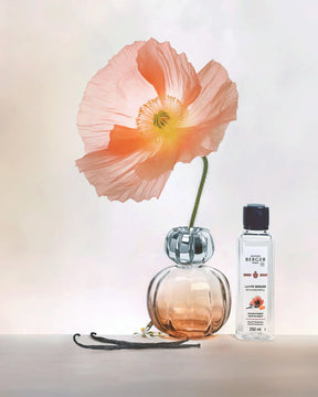 Maison Berger - Lampe Corali Pink + 250ml Velvet of Orient