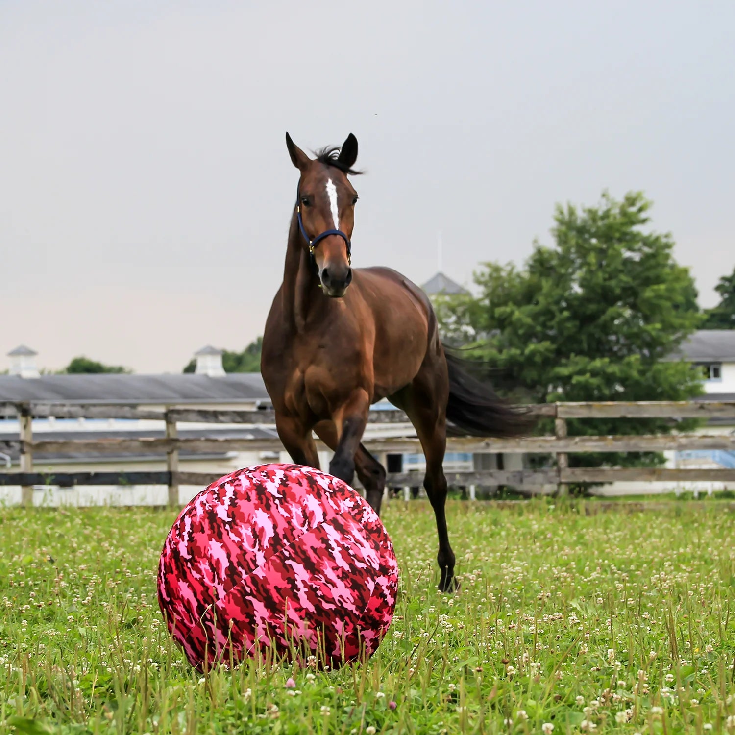 Horsemen's Pride - JP Mega Ball Cover Beach Ball
