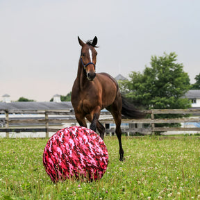 Horsemen's Pride - JP Mega Ball Cover Beach Ball