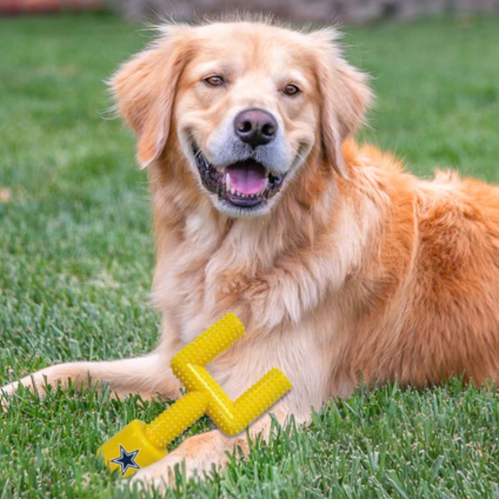 Pets First, Inc. - Dallas Cowboy Goal Post Dog Toy
