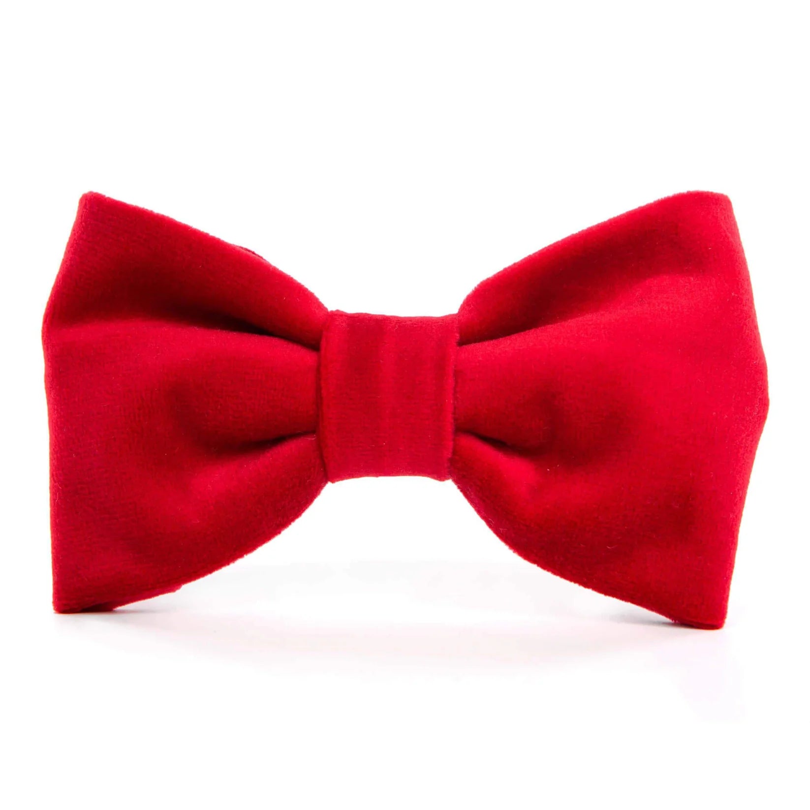 Dog Bow Tie Cranberry Velvet