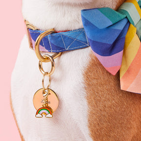 The Foggy Dog - Collar Charm Rainbow
