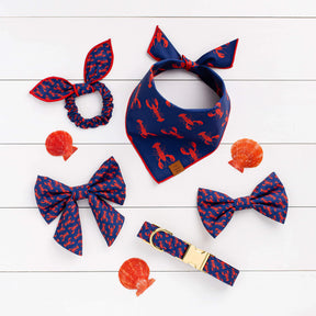 Bandana Dog Catch of the Day