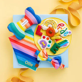 Dog Toy Dog Bone Squeaky Over the Rainbow