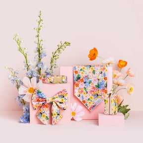 Bandana Dog Marguerite Spring