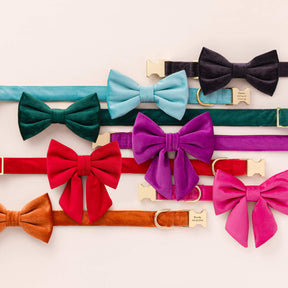 Dog Bow Tie Velvet