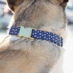 Dog Collar Sail Away