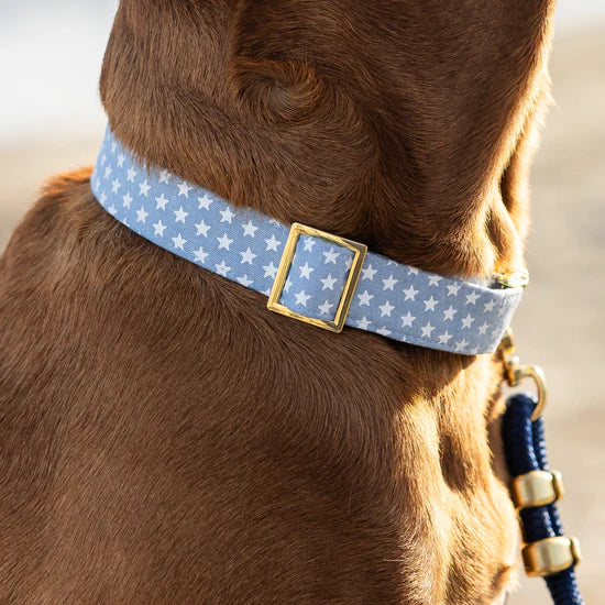 Dog Collar Liberty (4th of July)