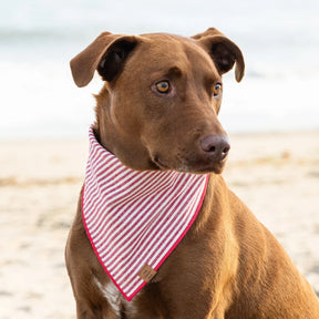 Bandana Red Stripes