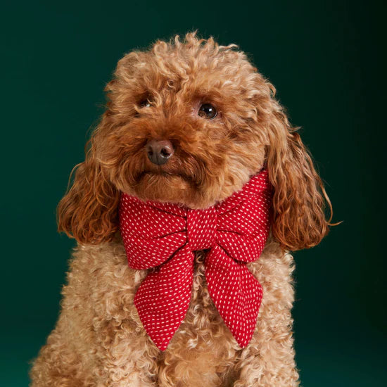 Dog Bow Berry Stitch Flannel