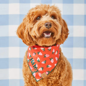 Bandana Dog Berry Sweet