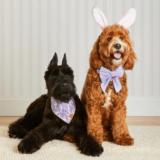 Bandana Dog Bunny Meadow