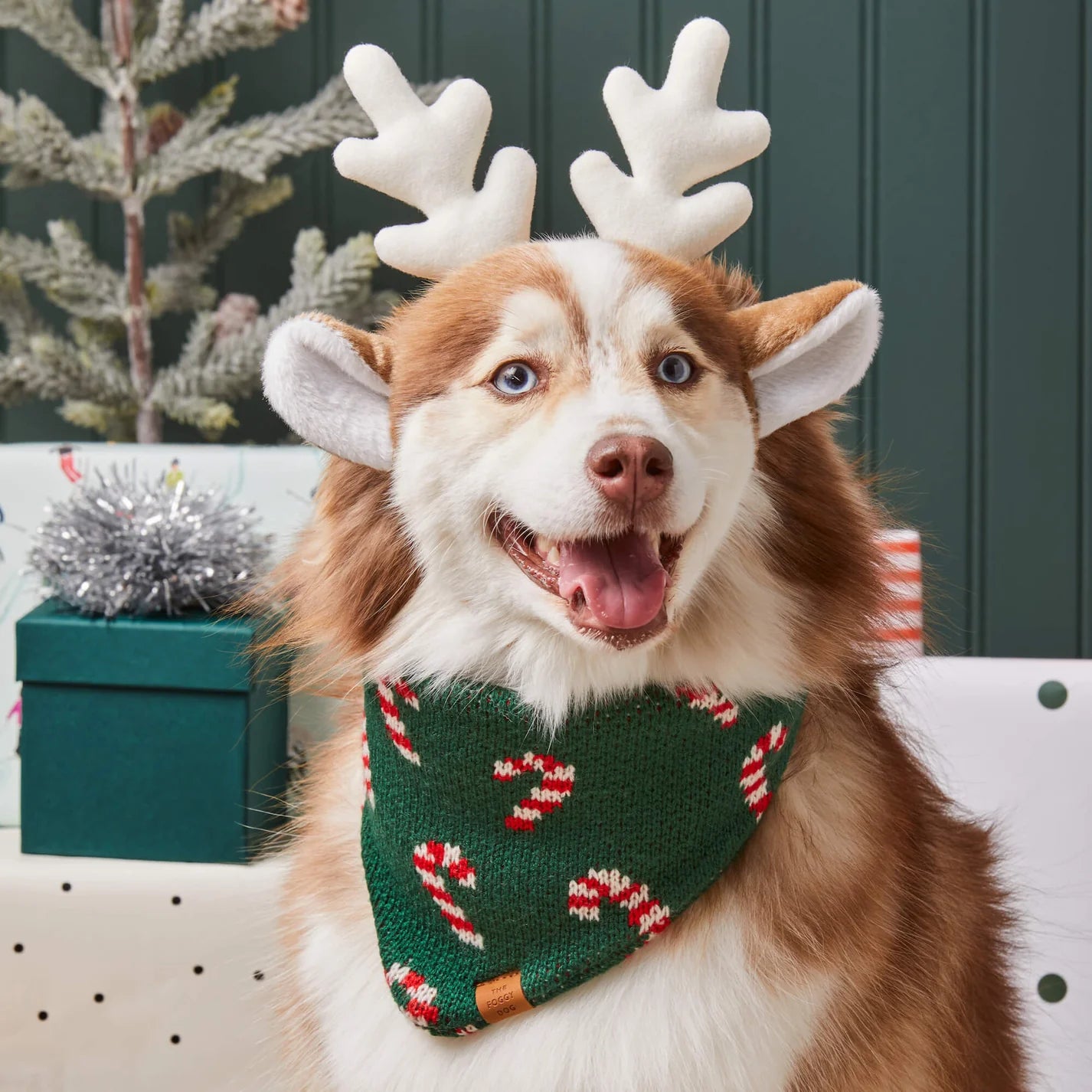 Dog Bandana Candy Cane Knit