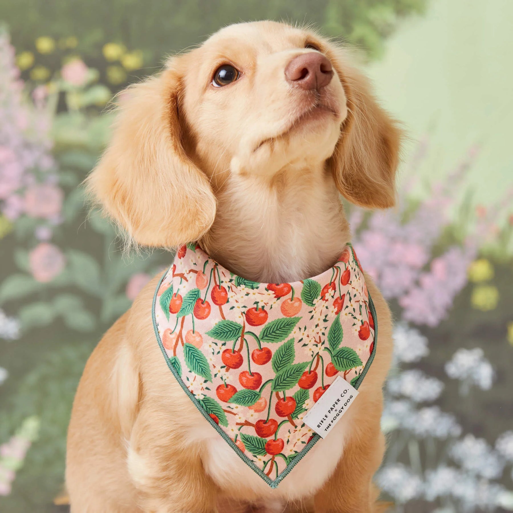Foggy Dog - Bandana Dog Rifle Paper Co. x TFD Vintage Blossom
