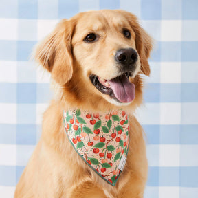 Foggy Dog - Bandana Dog Rifle Paper Co. x TFD Vintage Blossom