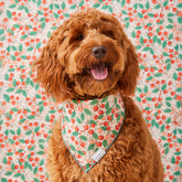 Foggy Dog - Bandana Dog Rifle Paper Co. x TFD Vintage Blossom