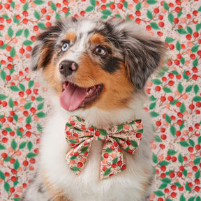 Lady Dog Bow Rifle Paper Co. X TFD Cherry Blossom