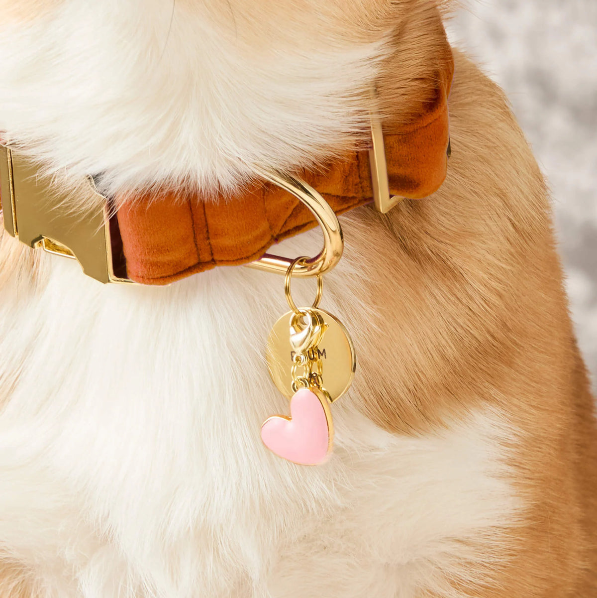 Dog Charm for Collar Colored