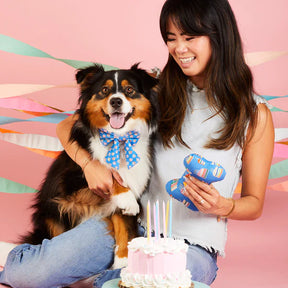 Dog Toy Dog Bone Squeaky Birthday Make A Wish
