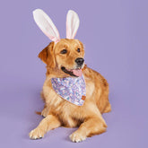 The Foggy Dog - Bandana Dog Bunny Meadow - Southern Agriculture 