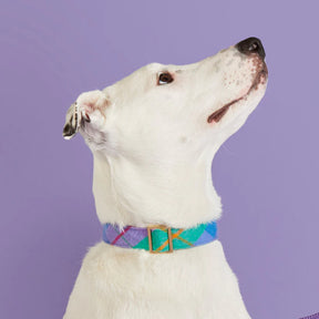 Dog Collar Fable Plaid Flannel