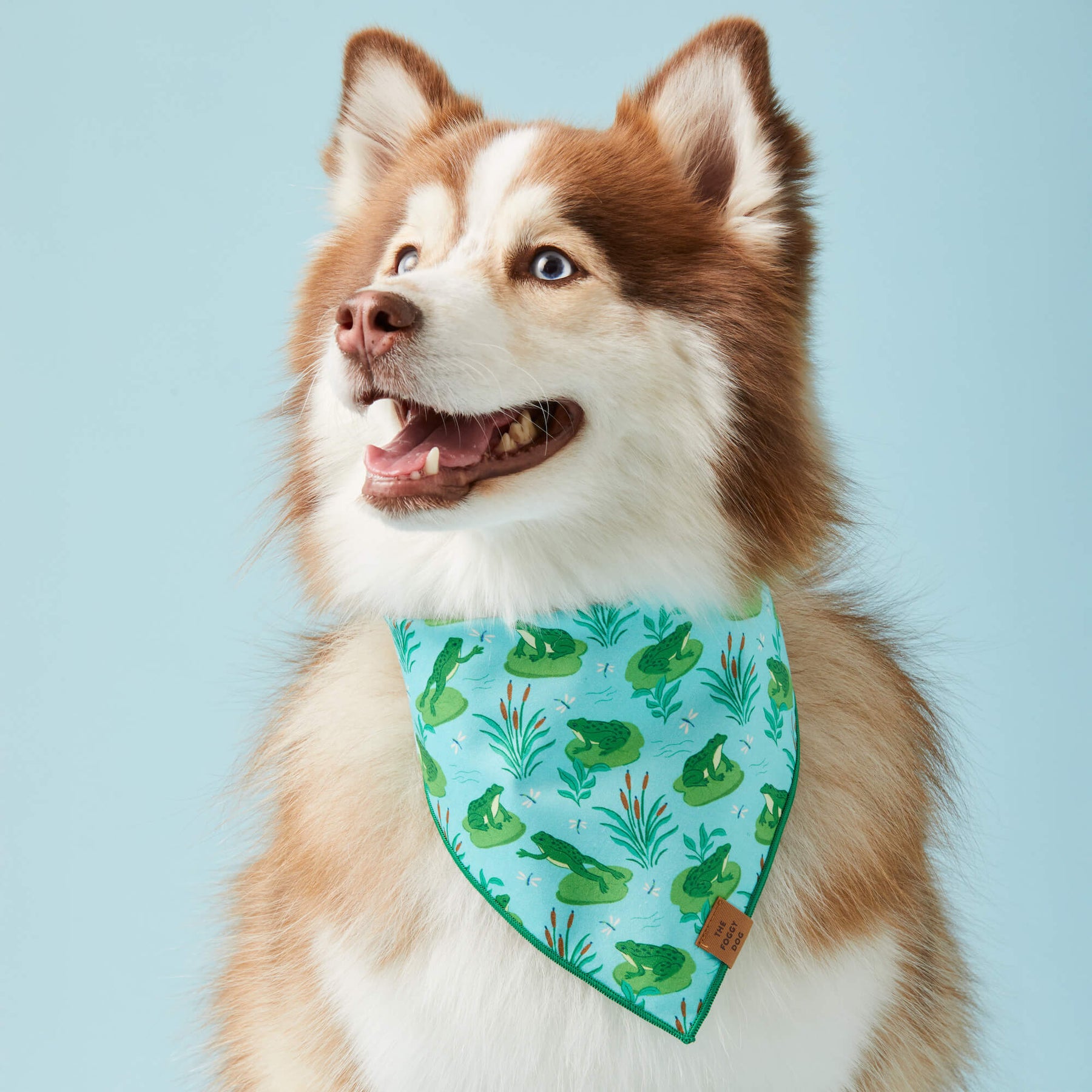 Foggy Dog - Bandana Dog Rifle Paper Co. x TFD Vintage Blossom