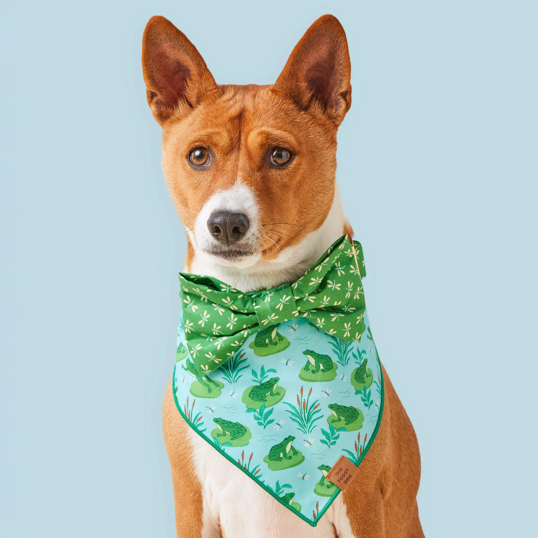 Foggy Dog - Bandana Dog Rifle Paper Co. x TFD Vintage Blossom