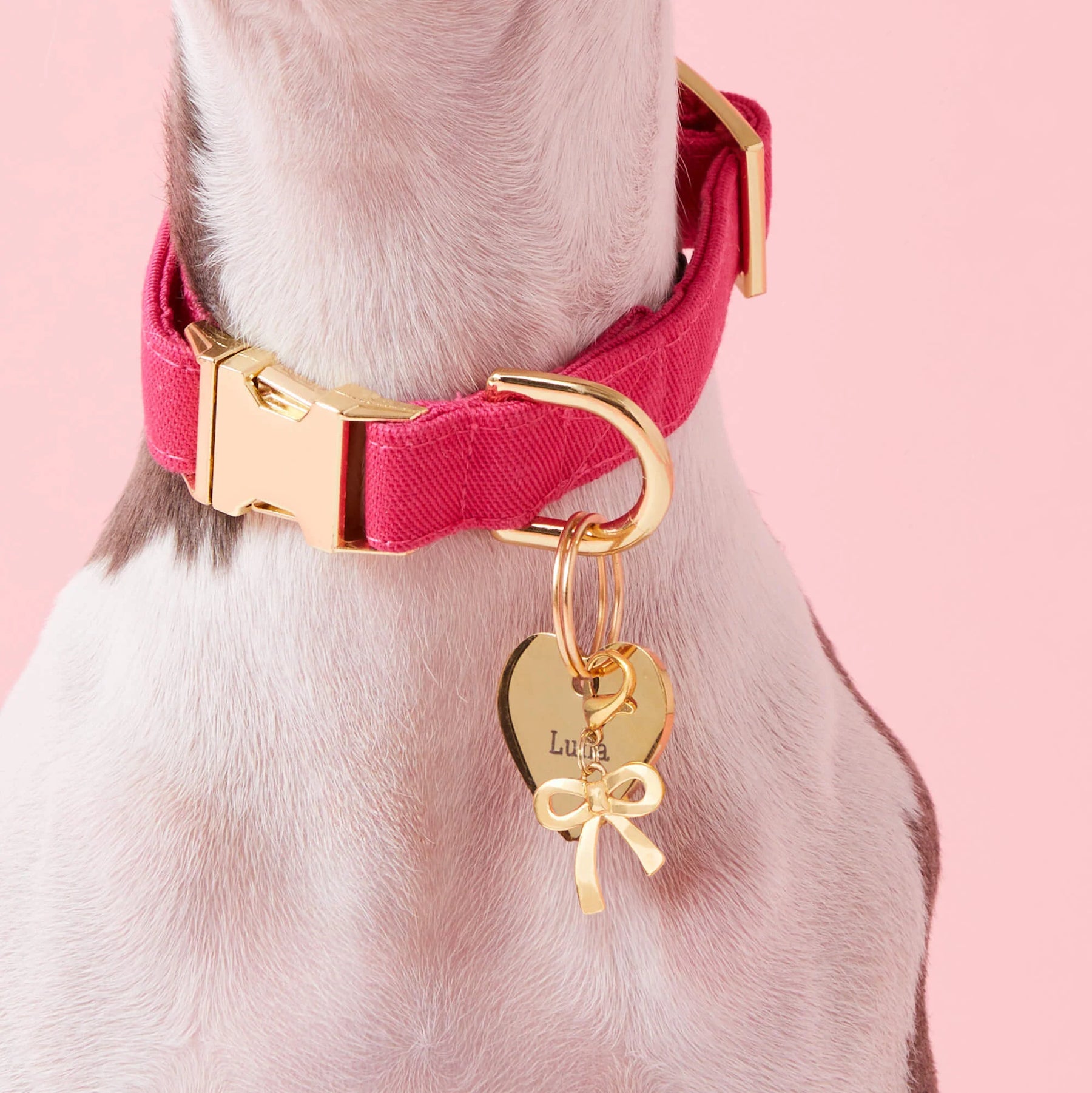 The Foggy Dog - Dog Charm Gold Bow