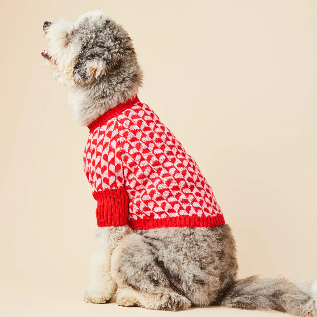 Dog Sweater Heart Stripe