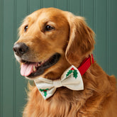 Foggy Dog - Dog Holiday Bow Tie Holly - Southern Agriculture 