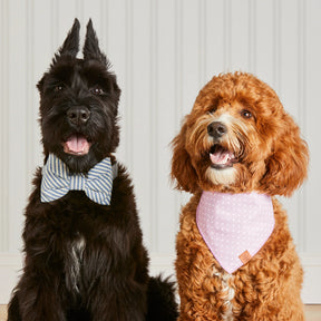 Foggy Dog - Dog Bow Tie Lake Blue Stripe