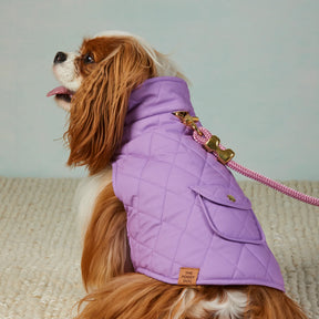 Dog Jacket Mini Meadow Reversible